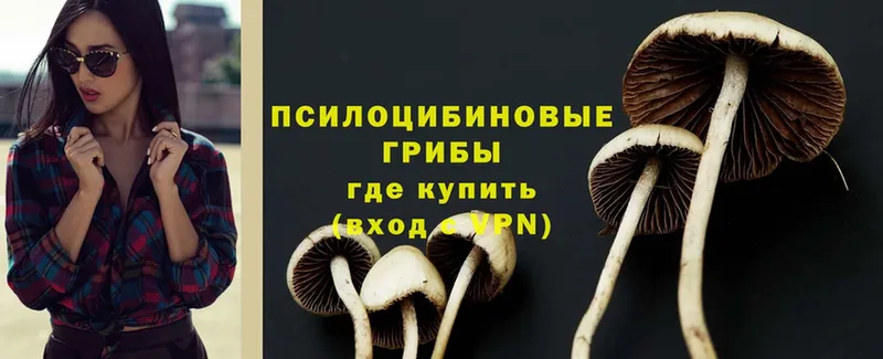 Псилоцибиновые грибы MAGIC MUSHROOMS  Бор 